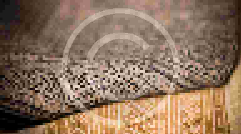 “Carpet Cleaning Prices in London”: A Wise Consideration